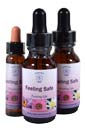 Essences for Sharing