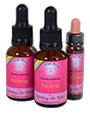 Fuchsia Flower Essences Fuchsia Flower - 10ml and 25ml bottles