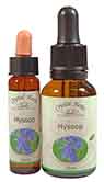 Hyssop Flower Essences - 10ml and 25ml bottles