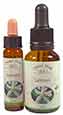Lemon Flower Essence Lemon Flower Essence