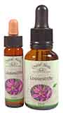 Loosestrife Flower Essence Loosestrife Flower Essence - 10ml & 25ml bottles