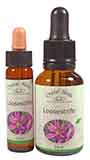 Loosestrife Flower Essence - 10ml & 25ml bottles