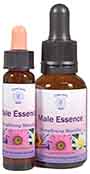 Male Essences 10ml and 25ml bottles of Male Essence