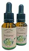 Snowdrop Flower Essence Snowdrop Flower Essences - 2 25ml Bottles of Essence