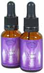 The Violet Flame Essence The Violet Flame Essence