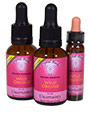 Wild Orchid Flower Essence Wild Orchid Flower Essence bottles