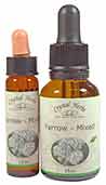 Yarrow Flower Essence - 10ml and 25ml size bottles