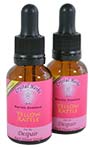 Yellow Rattle Flower Essence