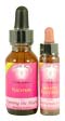 Karmic Essences