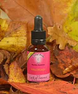 Valerian Flower Essence on a bed of autumn leaves
