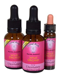 Wild Orchid Flower Essence Wild Orchid Flower Essence