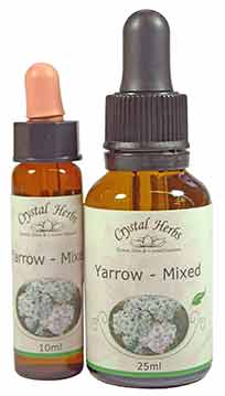 Yarrow Flower Essence - 10ml and 25ml size bottles