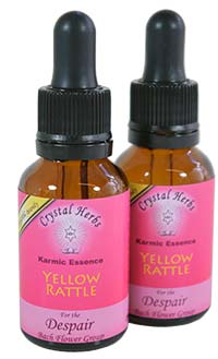 Yellow Rattle Flower Essence Yellow Rattle Flower Essence