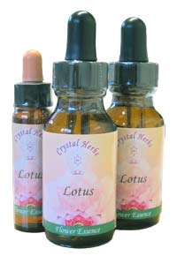 Flower Essences Flower Essences