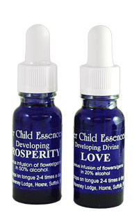 Inner Child Essences Inner Child Essences