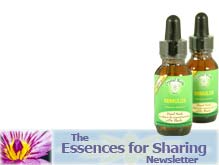 Essences for Sharing