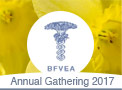 BFVEA Gathering 2017