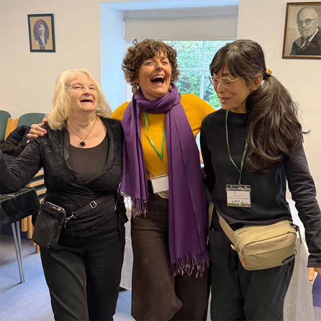 THe BFVEA Gathering organising committee