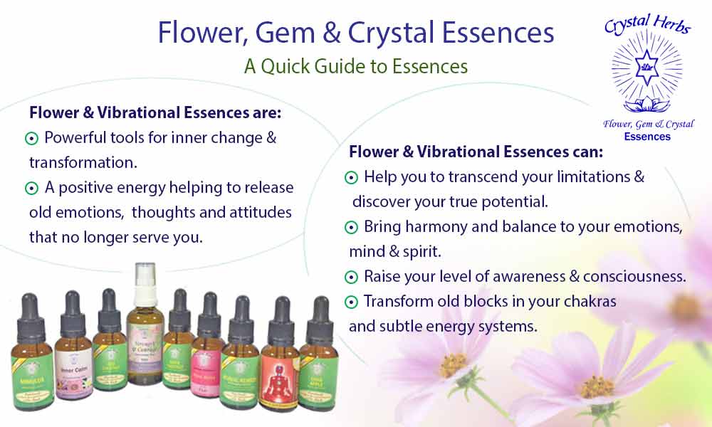A visual quick guide to Flower Essences A quick guide to flower essences - 25ml Flower Essence bottles and information