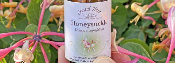 Bottle of Honeysuckle from the Bach Flower Remedies in front of Honeysuckle flowers