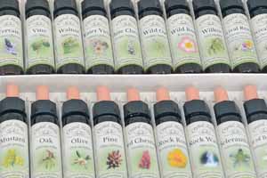 Bach Flower Remedy bottles in a set