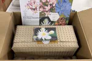 Packed and ready to send A Bach Remedy set packaged and ready to send to our customers
