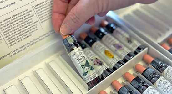 Packing a Bach Flower Remedy Set Putting bottles into a Bach Flower Remedi set