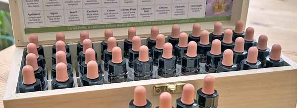 A set of Bach Flower Remedies in a wooden box