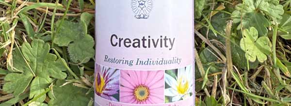 A bottle of Creativity Essence and this months special offers