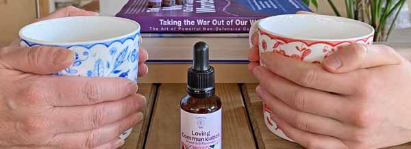 People with hands on mugs discussing which flower essence to choose