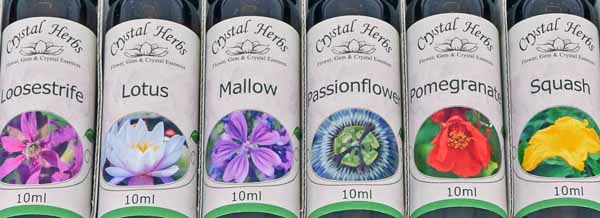 Bottles of flower essences in a set box