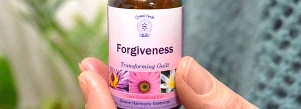 A bottle of Forgiveness Essence fro the Divine Harmony Essences