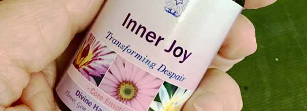 A bottle of Inner Joy Essence and this months special offers