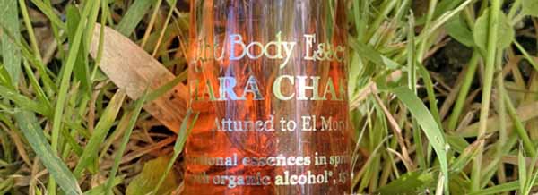 A bottle of Hara Activation Essence in nature