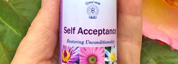 A bottle of the Self Acceptance Essences and this months special offers