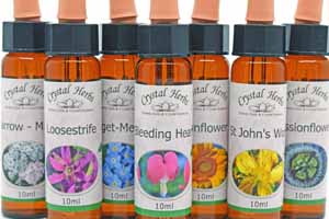 Single Flower Essence Bottes standing in a row