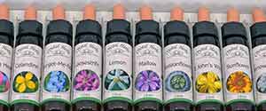 Essence Set of the Month