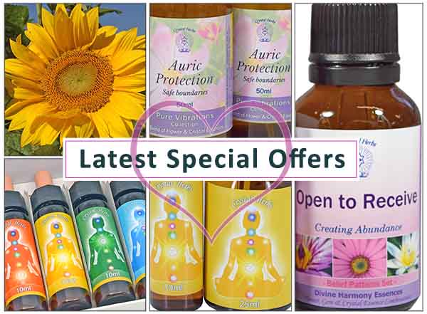 Special Offers Newsletter Montage