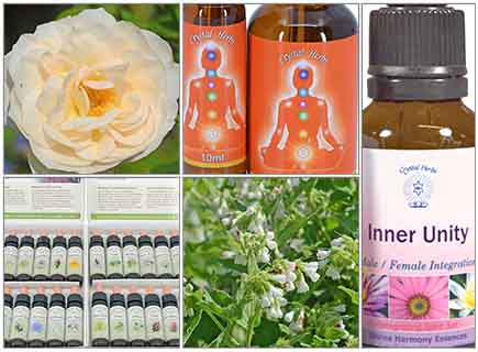 Special Offers - May 2023 Flower Essence Special Offes - May 2023