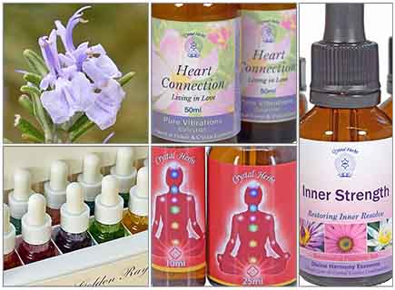 Special Offers - October 2023 Flower Essence Special Offes - October 2023