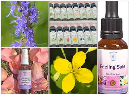 Current Special Offers