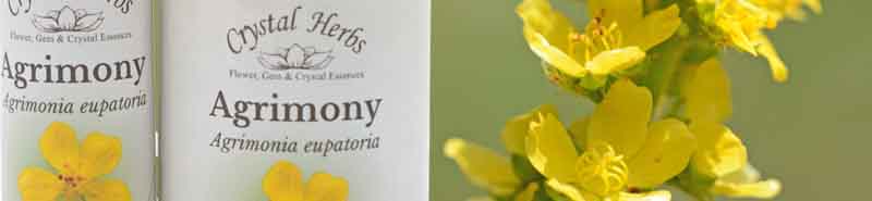 10ml and 25ml bottles of Agrimony  Bach Flower Remedy with Agrimony flowers