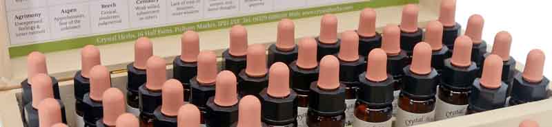 Picture of a 10ml Bach Flower Remedy set in a wooden box