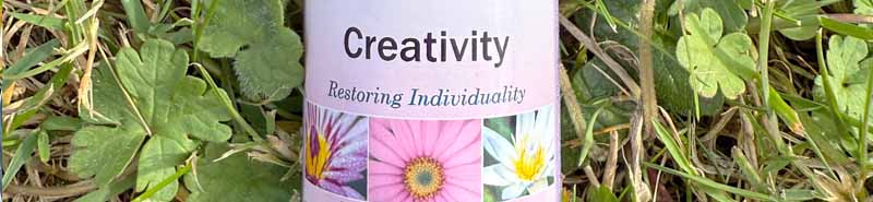 Close up of the Creativity Essence