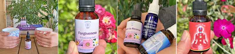 Essence Montage: Hands on mugs and a Loving Communications Essence, a bottle of Forgiveness Essence, three bottles of essences for Abundance, and a bottle of Base Chakra Essences