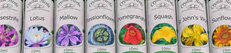 Close up of a 10ml Single Flower Essence Set