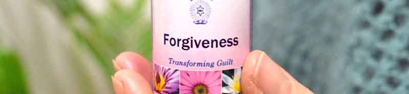 Close up of the Forgiveness Essence