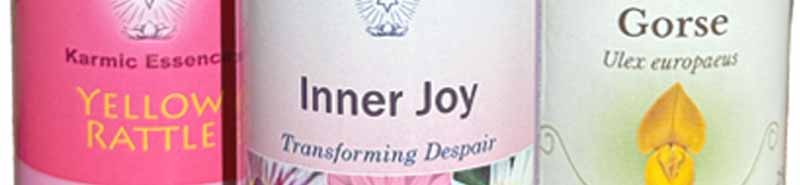 A picture of Yellow Rattle flower essence, the Inner Joy combination and Gorse from the Bach Flower Remedies