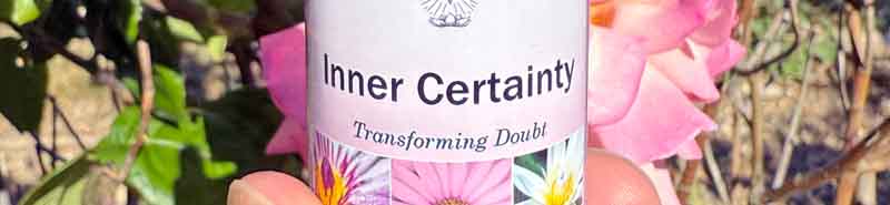 Close up of the Inner Certainty Essence