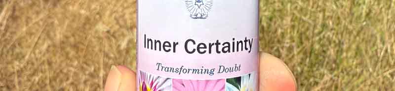 Picture of the Inner Certainty Essence with grass in the background